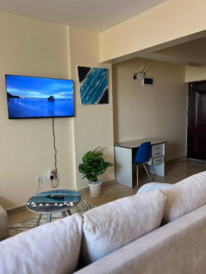 Spacious Studio apartment in Ngara 1km to Nairobi CBD
